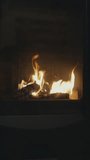 Vertical video of a potbelly stove with burning wood inside.