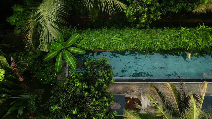 Aerial view captures woman swimming in a lush tropical pool surrounded by greenery. Leisurely activity in a serene, secluded setting. Swimming in nature, perfect for travel and relaxation content.