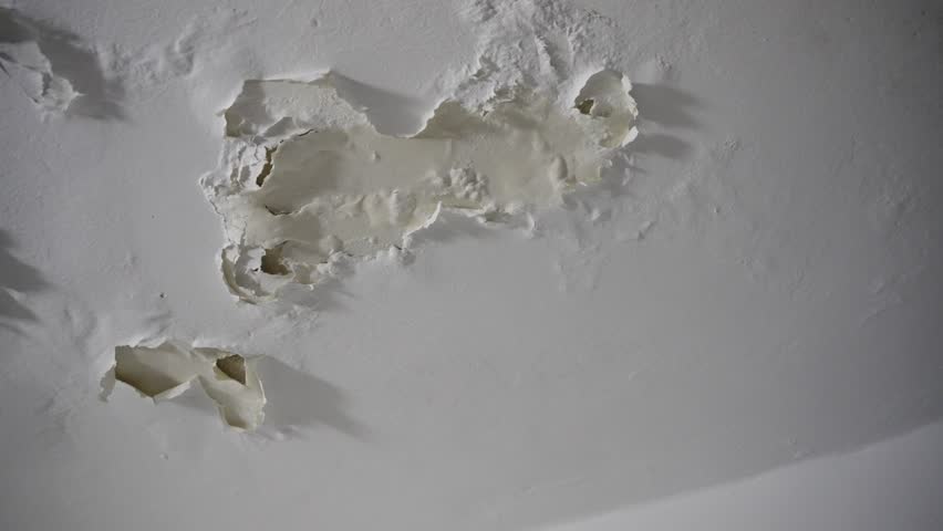 Peeling paint on house ceiling due to moisture and humidity in closed room. Old apartment or leaking floor upstairs causing wall paint to fall apart or to peel off and crack. Home issues to fix
