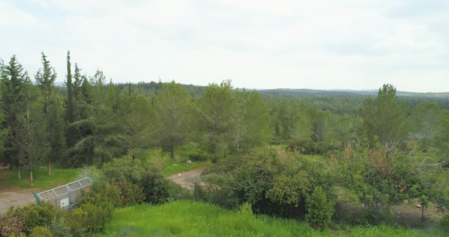 Aerial view of traditional architecture in a peaceful garden, Tel Aviv, Central District, Israel.