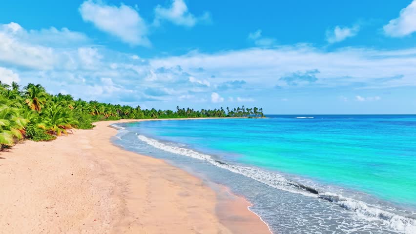Morning tropical Dominican beach. Palm trees with bright leaves on the coast with calm sea water. Amazing panorama of luck. Luxury travel and tourism for summer holidays. Idyllic exotic coastline. Royalty-Free Stock Footage #3462326075