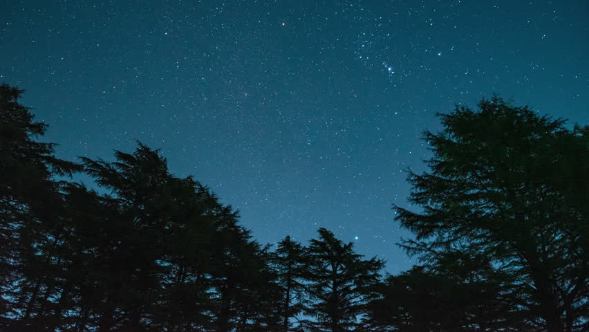 Moonlit Silhouettes and Tranquil Landscape, Mussoorie
