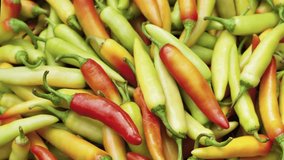 Fresh hot chili pepper top view. Organic vegetable background. Chili peppers top view video 4K