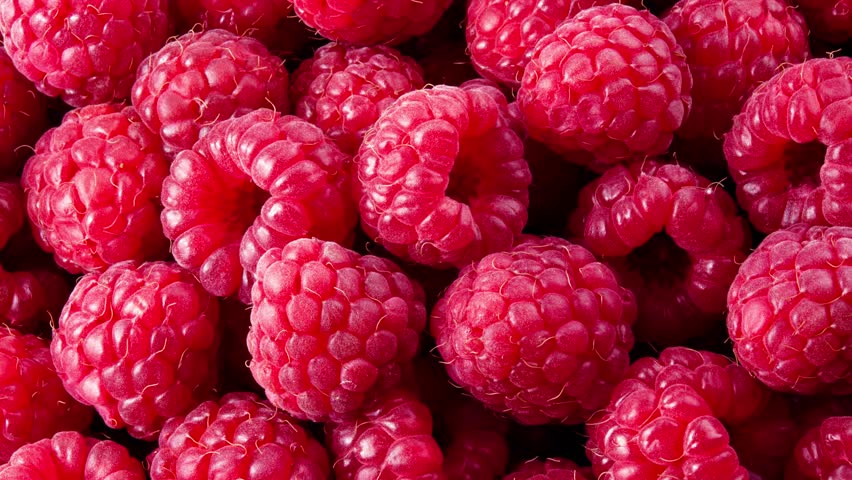 Raspberry background 4K video. Raspberries red fruit background. Raspberry top view video 4K Royalty-Free Stock Footage #3462346079