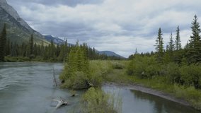 Drone point of view flying over the river and pine tree forest, view on Canadian rockies in Alberta. Mountain landscape nature environment conservation no people travel concept