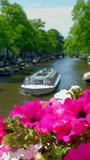 Amsterdam canal with passing boats and flowers on the bridge. Focus on flowers. Amsterdam, Netherlands