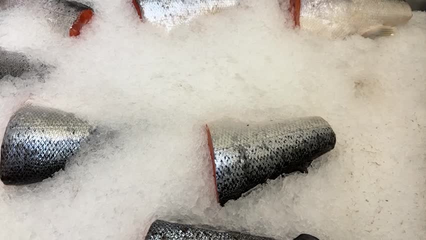 Raw steaks of fresh trout lie on shallow ice at the seafood market. An open shelf at the fish market. Close-up.