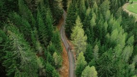 Three cyclists ride together on gravel forest road in the mountains. Fun bikepacking adventure on a weekend. Aerial drone shot of professional cyclists ride fast down gravel country road or track - Powered by Shutterstock - Get 15% off with code: PIKWIZARD15