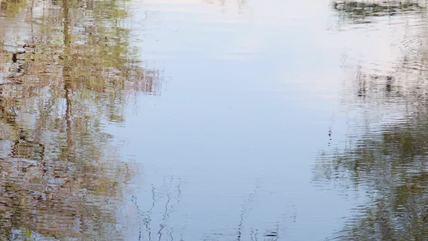 Reflection of Airboat crossing the roads of Everglades National Park, Florida