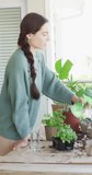 Vertical video of happy caucasian woman watering her plants of basil. Spending quality time at home concept.