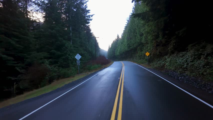 Scenic Highway surrounded by Trees. Overcast. Port Renfrew, British Columbia, Canada.