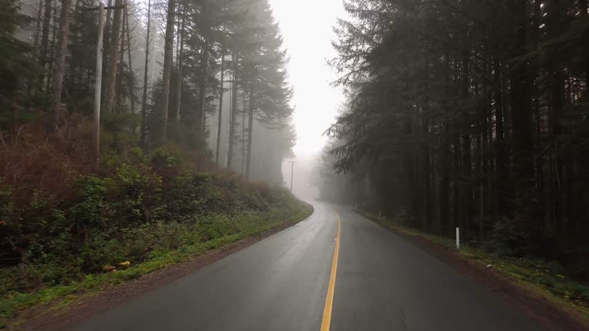 Scenic Highway surrounded by Trees. Foggy. Overcast. Port Renfrew, British Columbia, Canada.