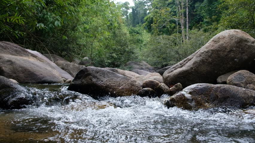 Small stream flows through small and large rocks. In the middle of a rainforest in summer.