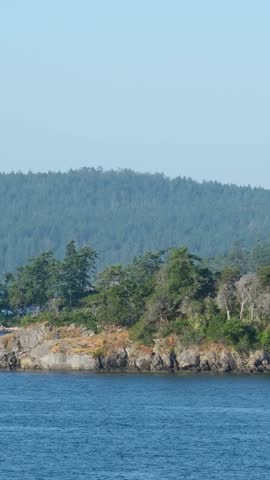 Canadian Landscape by the ocean and mountains. Summer Season. Gulf Islands near Vancouver Island, British Columbia, Canada. Canadian Landscape.