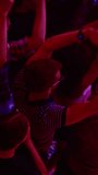 Vertical Footage of Music Festival Goers Party with Their Hands Up in the Air at a Concert in a Night Club. Footage from Above with Fans Cheering a Rock or Indie Band.