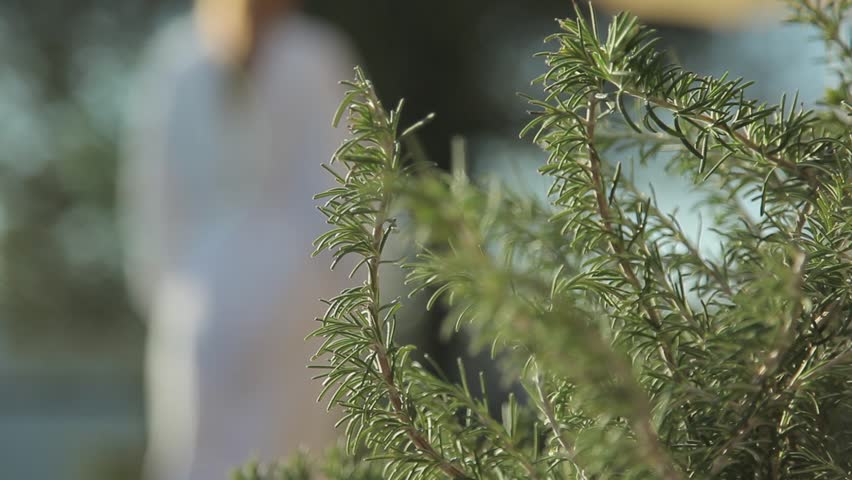 woman with spa bathrobe walking behing rosemary plants