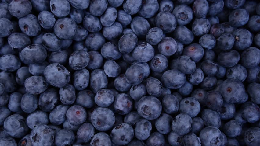 Fresh Delicious blueberries background. Texture of blueberry berries Royalty-Free Stock Footage #3462946173