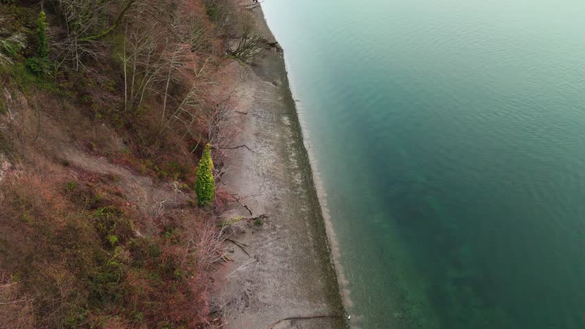 Backwards drone shot of calm blue waters and tree tops on shore in Wollochet Bay in Gig Harbor, Washington State