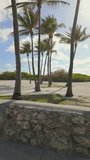 Miami Beach palms and coral wall on Ocean Drive vertical slow motion video