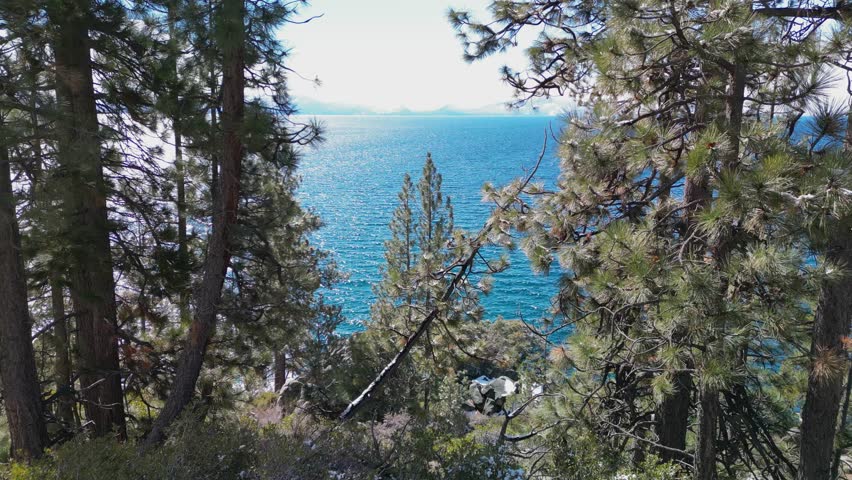 Aerial view through trees out to Lake Tahoe water