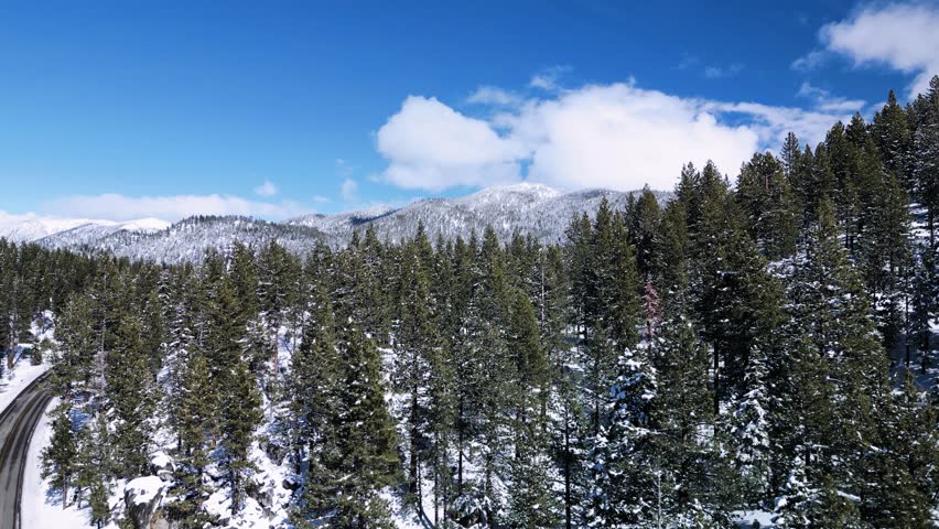 Aerial ascent of roads and pine trees in Lake Tahoe wilderness with mountains in the background