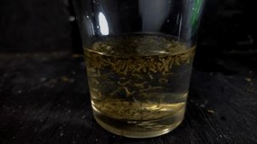video footage of mosquito larvae in glass, the video was recorded with a black background at night