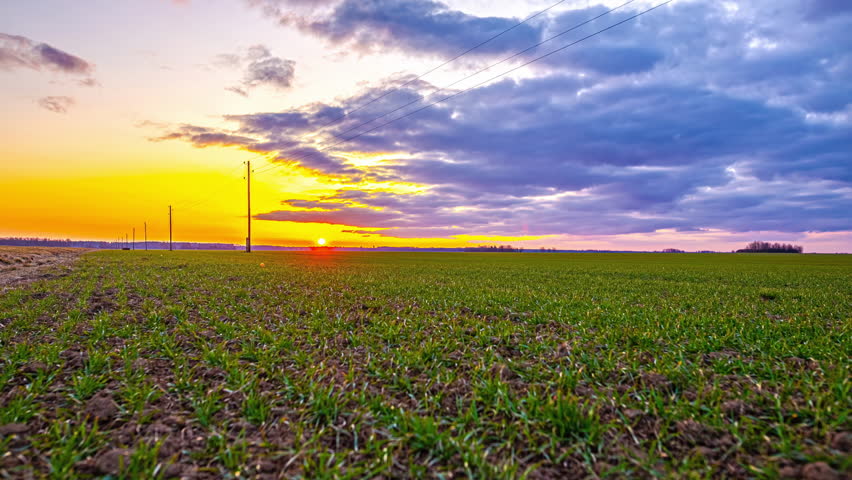 Farmland crops growing under a golden sunrise cloudscape time lapse Royalty-Free Stock Footage #3463352491