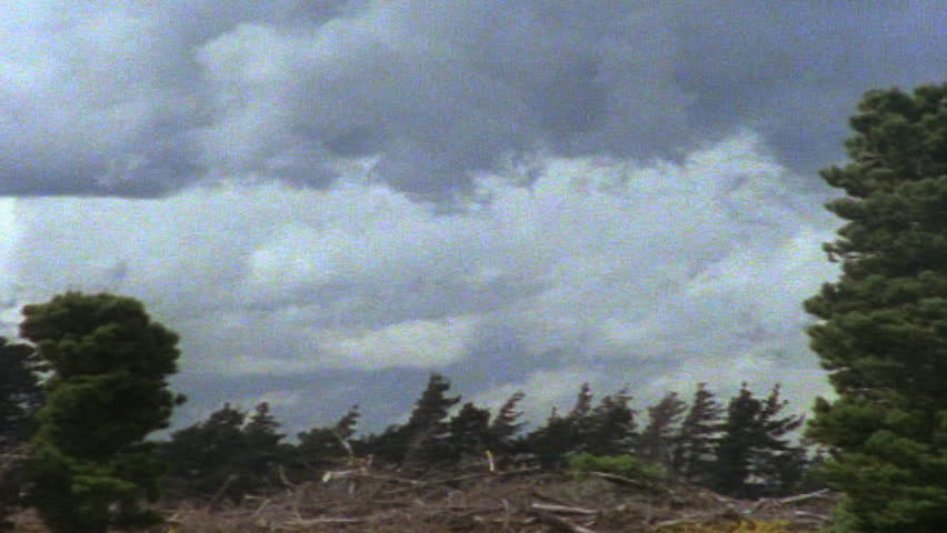 Timelapse of clouds moving over forest