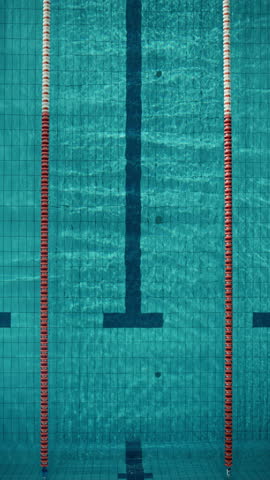 Vertical Screen: Aerial Top View Male Swimmer in Swimming Pool. Professional Athlete Training for Race, Winning World Championship in Freestyle. Colorful, Cinematic Light, Artistic Slow Motion Royalty-Free Stock Footage #3463623187