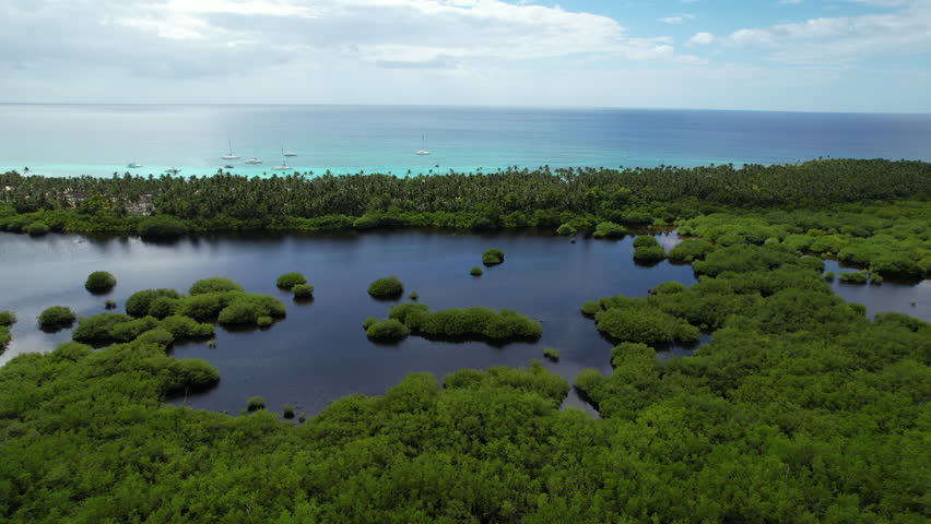 Aerial view of lake with green vegetation in front of turquoise Caribbean sea, Dominican Republic. orbiting shot.