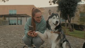 Smiling young woman and Husky dog posing making selfie photo video together use smartphone outdoor closeup happy casual female canine pet owner photographing shooting media content at park