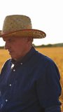 Man in hat in the yellow field. Thoughtful farmer standing with a folder in ripe wheat field. Cereal cultivation. Vertical video