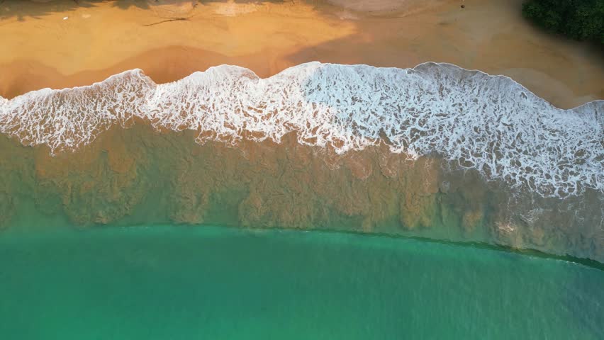 Bird's eye view of the wonderful Bom Bom beach, with the waves crashing causing beautiful images with the mixture of sand and sea foam at Prince Island,(ilha do Principe) Africa Royalty-Free Stock Footage #3463892197