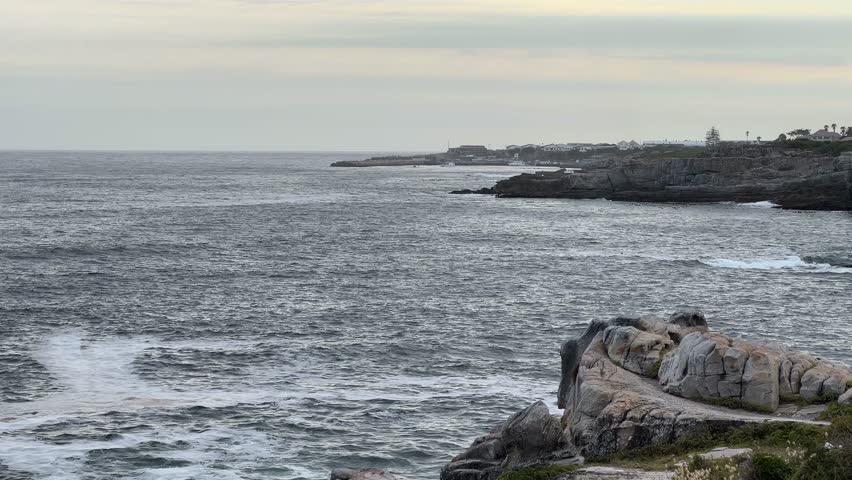 Whales along the jagged rocky coastline of Hermanus at sunset Royalty-Free Stock Footage #3463923675