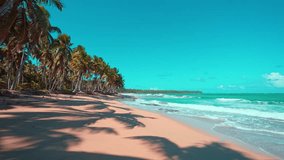 Beautiful view of the beach line with tall palm trees and the ocean on a clear day. Yellow sand. Bright tropical summer sun and blue sky with light clouds. Wide format. The video is tinted.
