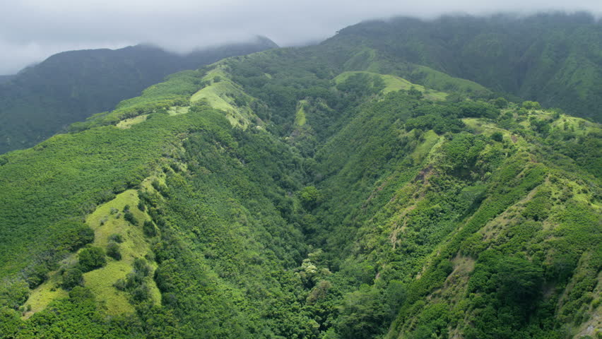 Aerial view of Iao valley State Park a tropical rainforest with lush green foliage Maui Pacific islands USA RED WEAPON