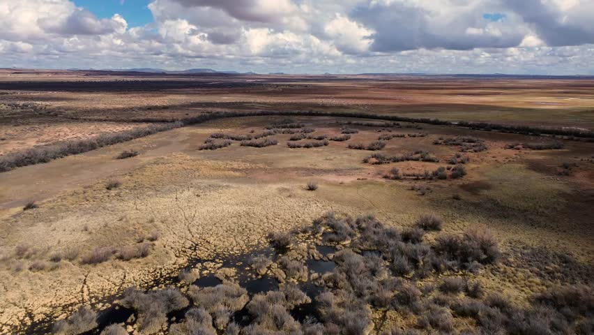 Chevelon Creek Wildlife Area, Winslow Arizona, America, USA.