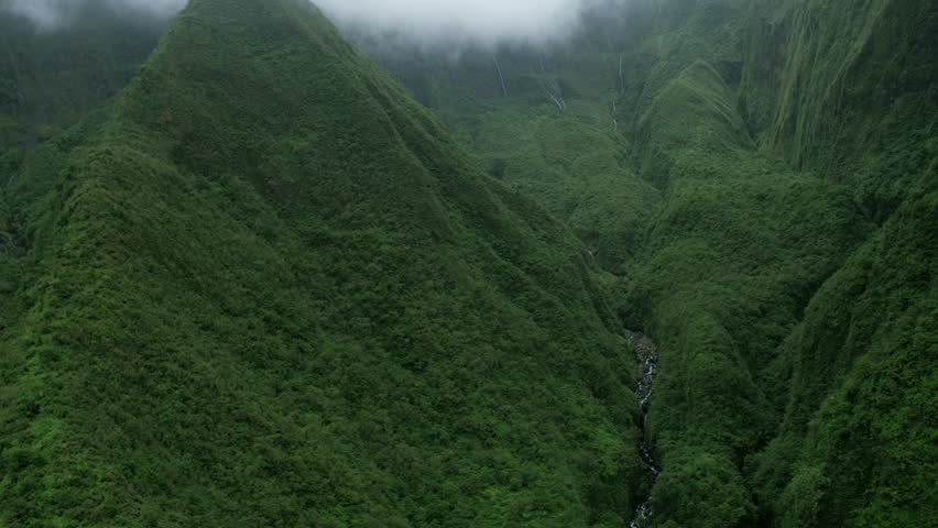 Aerial view of Iao valley State Park with a tropical mountain rainforest landscape Maui Hawaii Polynesian islands USA RED WEAPON