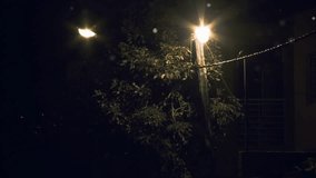 Street Lamp Dimly Illuminating the Leaves of a Tree at Night. - Powered by Shutterstock - Get 15% off with code: PIKWIZARD15