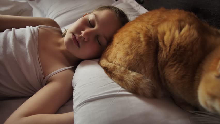 A woman hands cover her sleeping little daughter with a white soft blanket and the mother wishes pleasant dreams to the girl and the ginger cat lying on the pillow. Child sleeping with a pet