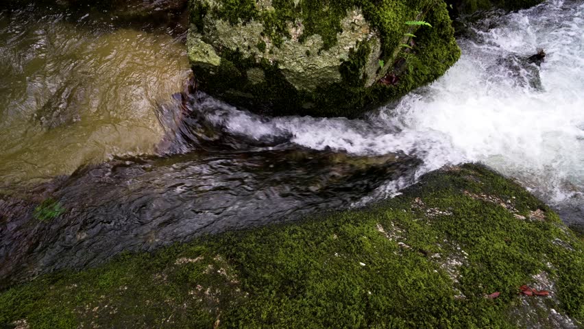 Foaming stream rushes over verdant mossy rocks
