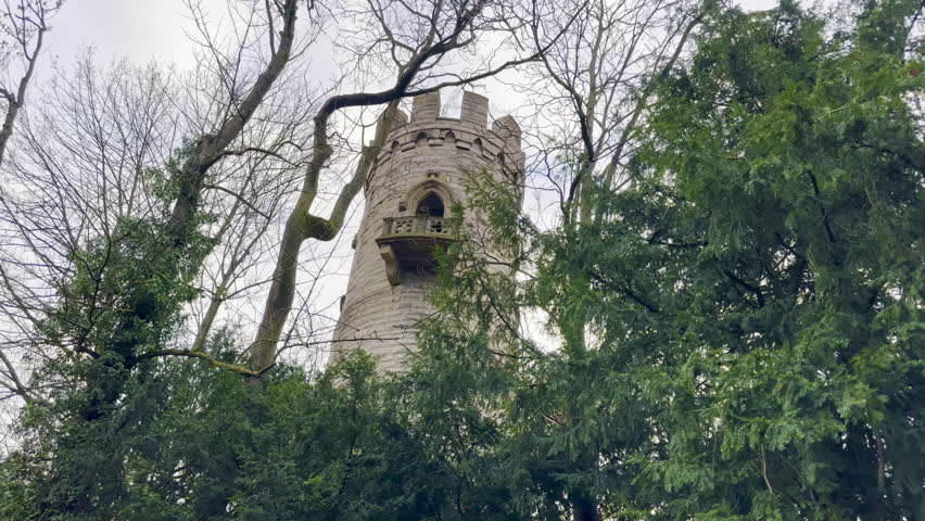 Historic Hasenrain Tower Peering through the Lush Greenery in Mulhouse