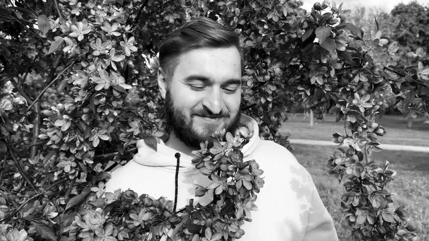 Black and white 4K video. Young adult bearded white man wearing sweatshirt in city park sniffing blossoming Japanese cherry tree, smiling and looks at camera. Little flower. Spring Bloom Season. Plant Royalty-Free Stock Footage #3464136489