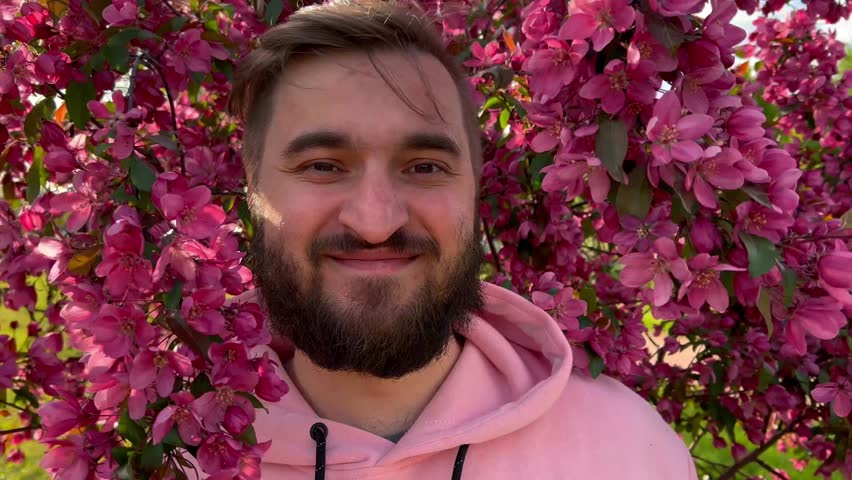 4K video. Young adult bearded white smiling man in pink hoodie in city park near pink flowering Japanese cherry tree looks at camera. Little lilac flower. Spring Bloom Season. Male closeup portrait.  Royalty-Free Stock Footage #3464136535