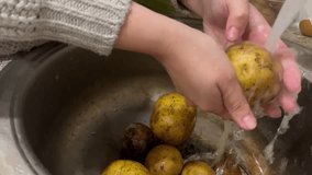 Horizontal 4K video. View from above. Woman washing raw fresh potatoes in a metal sink in the kitchen. Concept of cooking dinner, lunch, breakfast, casserole. Female hand. Healthy food. Farm. Water