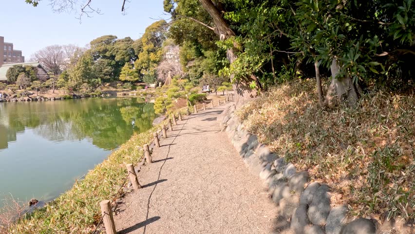 A peaceful walk along a park path by a pond