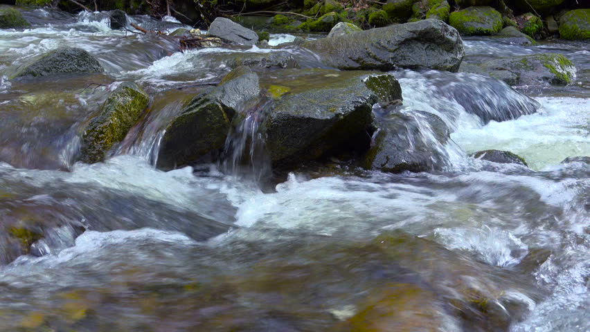 Mountain river, stream, creek with rapids flowing through woods in late autumn, early winter with snow. Bistriski vintgar gorge, Slovenia Royalty-Free Stock Footage #34644013