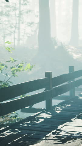 wooden bridge into forest with river