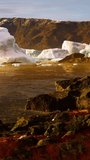 Antarctic icebergs near rocky beach
