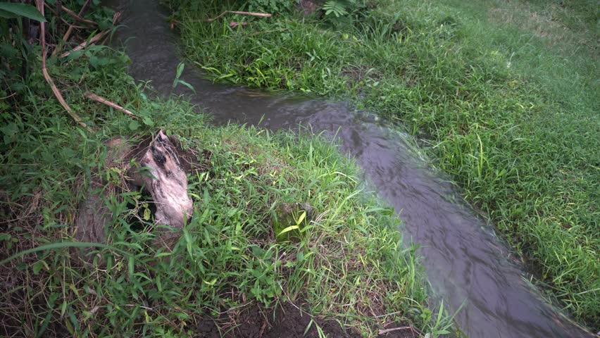 Very cool of water on river